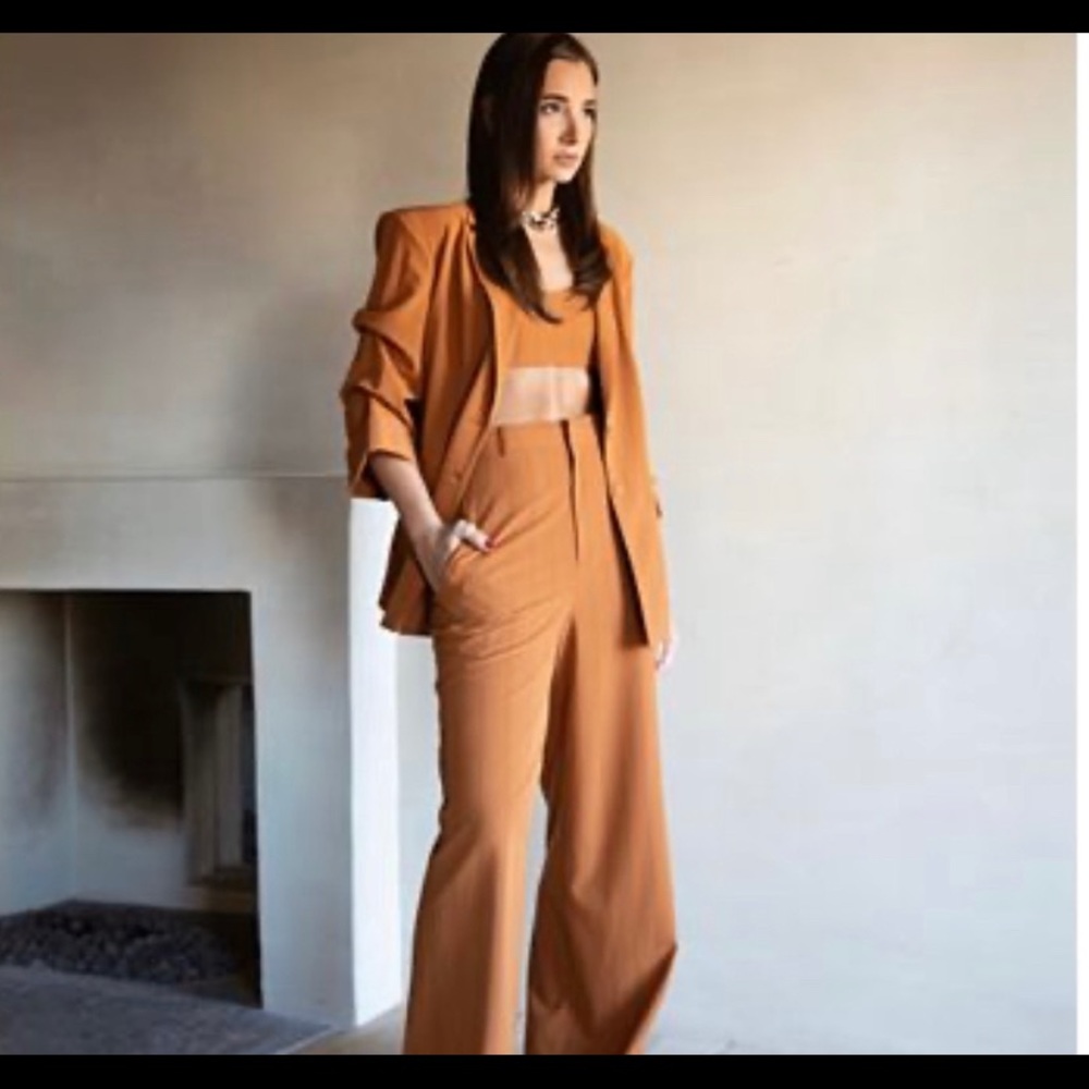 Danielle Bernstein - Macys. Pants Size 6